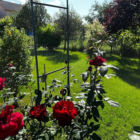 El Rinconcito De Cinderellana בית נופש